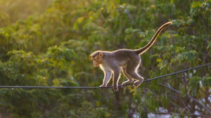 Фото:depositphotos.com