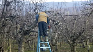 “Дворник попал в больницу и получил издевательскую компенсацию“: объяснение акимата