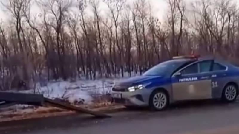 Кадры из видео