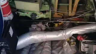 Кот проник в самолет перед вылетом и задержал полеты на два дня