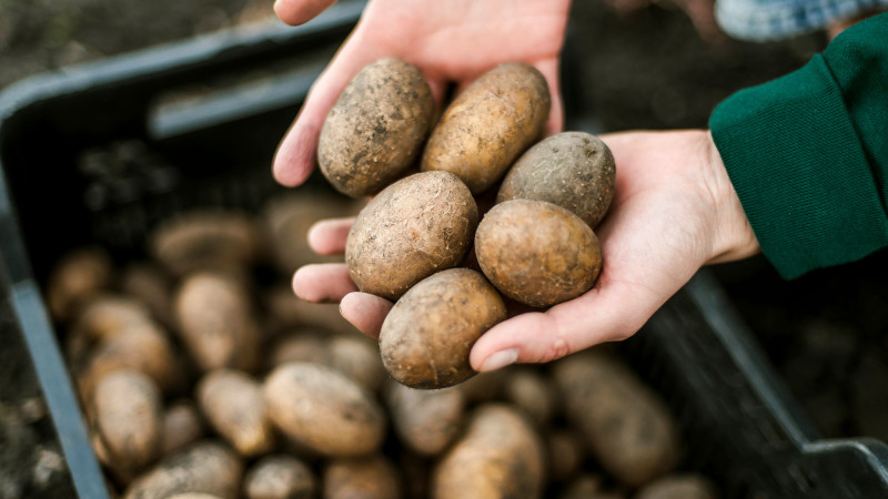 Фото:depositphotos.com