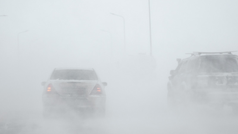 Фото ©️ Tengrinews.kz / Турар Казангапов