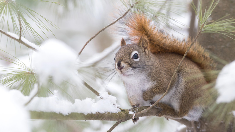 Фото:depositphotos.com