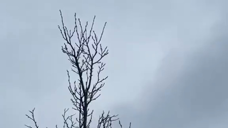 Кадры из видео