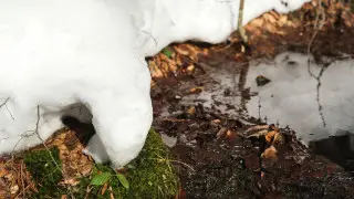 Зима не сдается? Чего ждать от погоды в Казахстане 18-20 февраля