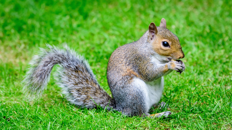 Фото:depositphotos.com