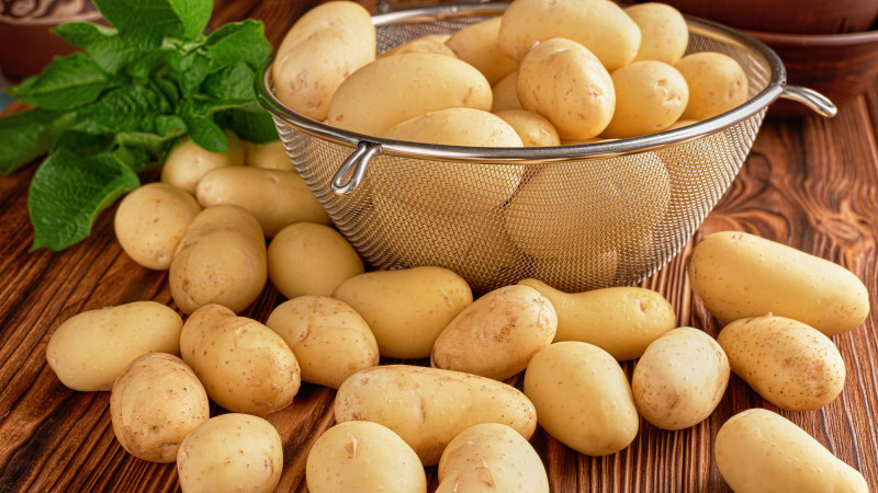 Фото:depositphotos.com