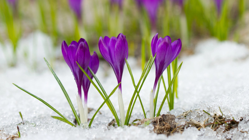 Фото:depositphotos.com