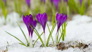 Тепло до 15 градусов принесет циклон в Казахстан