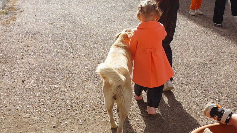 Фото читателей