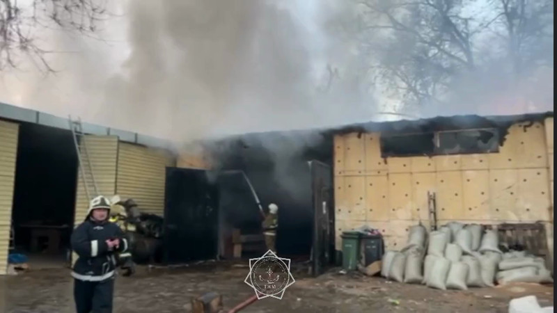 Кадры из видео