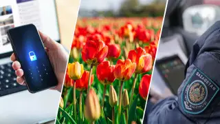 Что изменится в жизни казахстанцев с марта 2025 года