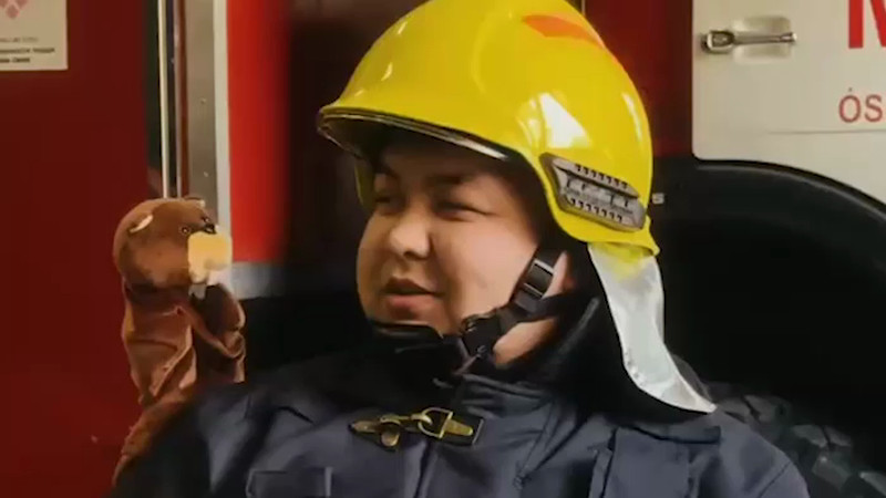 Кадры из видео