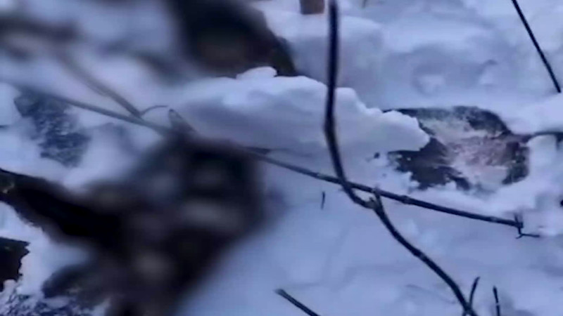 Кадры из видео