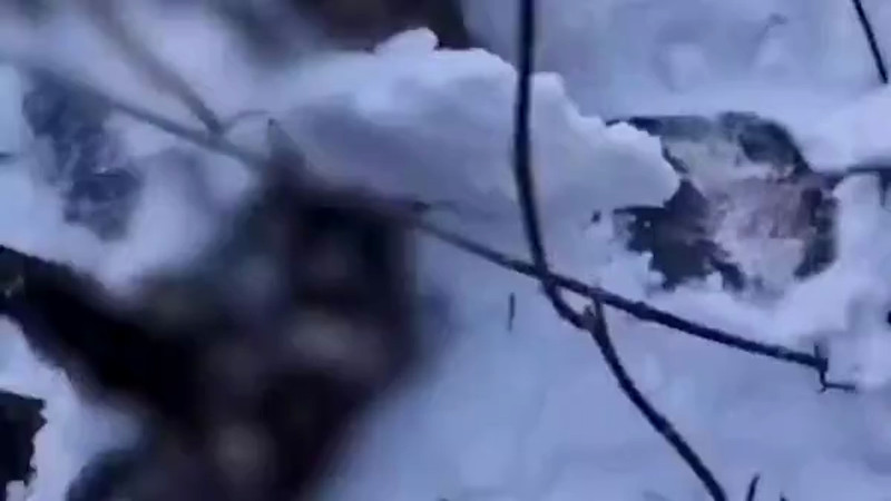 Кадры из видео