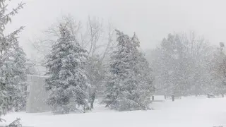 Снегопады и сильный ветер: погода в Казахстане на 27 февраля