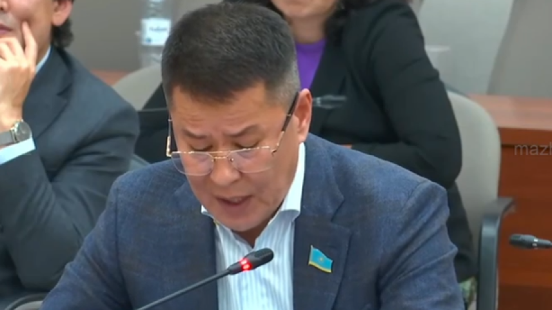 Кадр из видео: пресс-служба Мажилиса