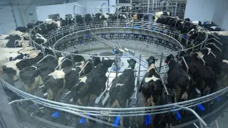 Во что в Костанае инвестируют миллиарды