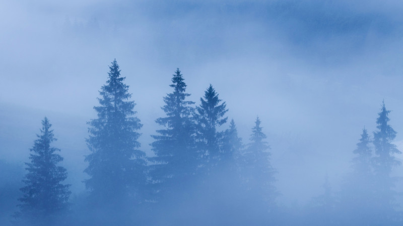 Фото:depositphotos.com