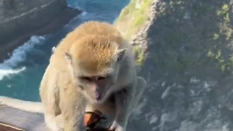 Кадры из видео