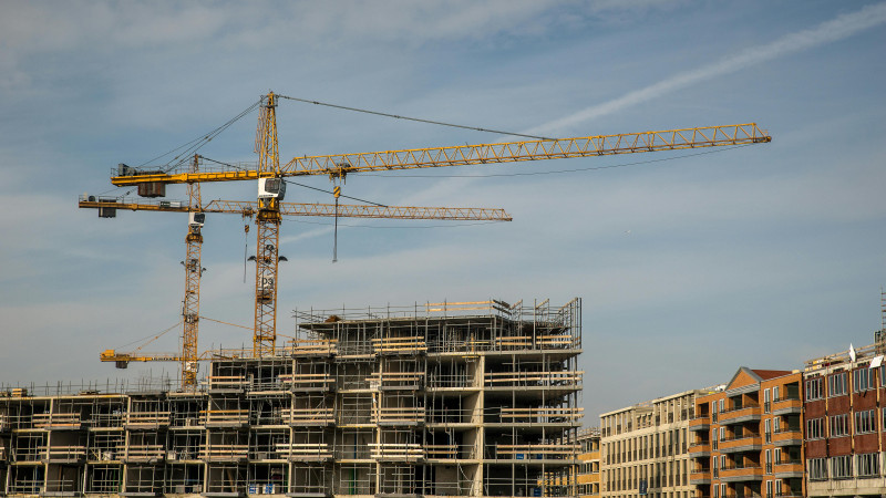 Фото: pexels.com