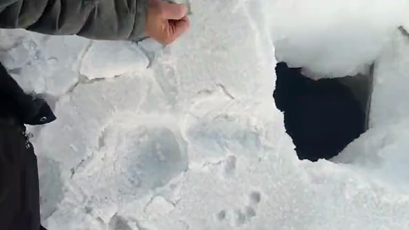 Кадры из видео