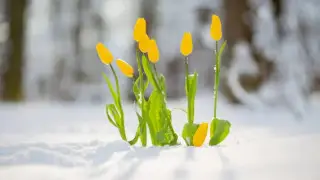 Штормовое предупреждение объявлено в ряде регионов Казахстана