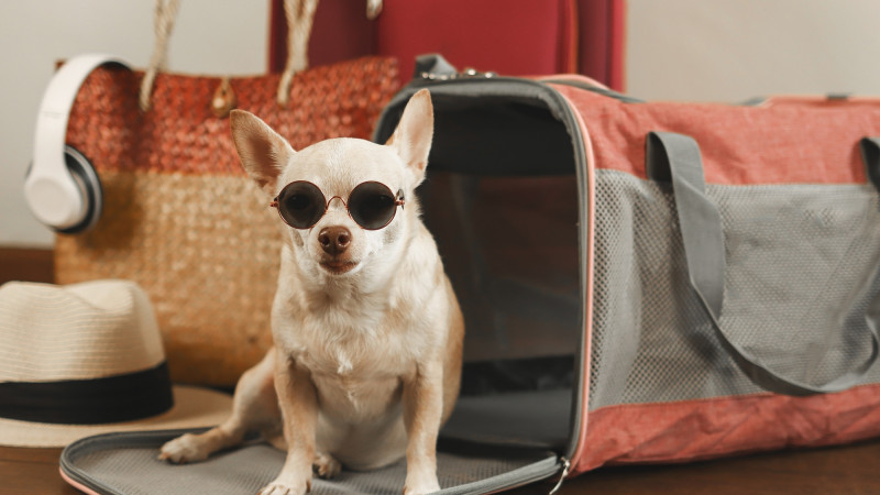 Фото:depositphotos.com