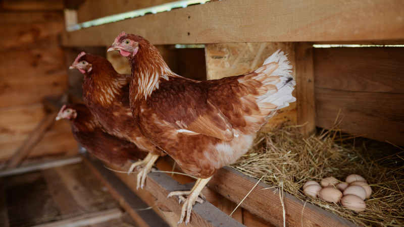 Фото:depositphotos.com