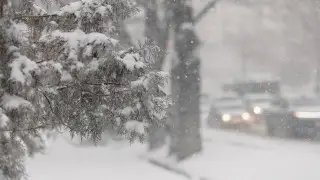 Снег, дождь и сильный ветер: погода в Казахстане на 6 марта