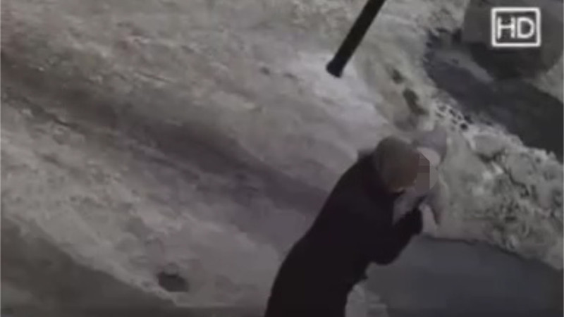 Кадр из видео