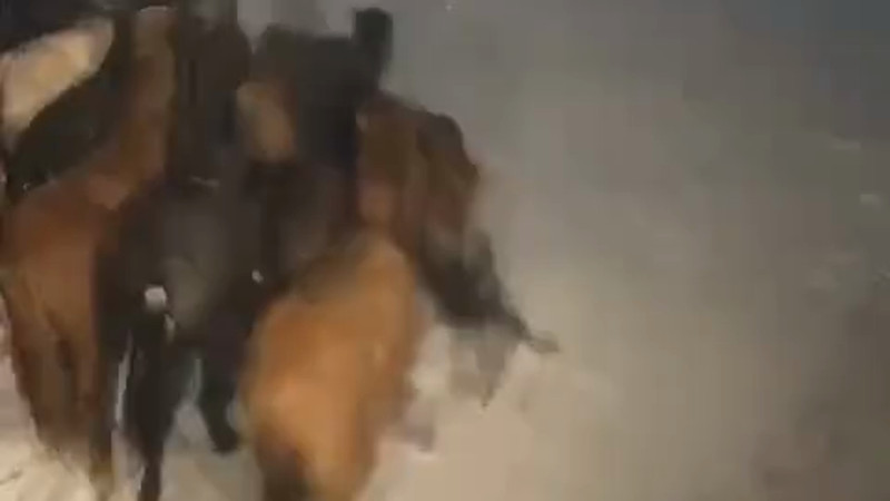 Кадры из видео