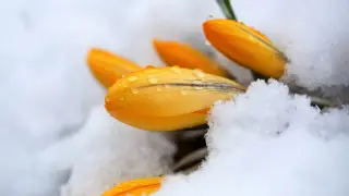 Дождь и снег - погода в Казахстане на 8 марта