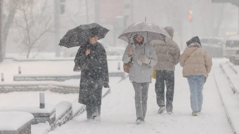 Фото ©️ Tengrinews.kz