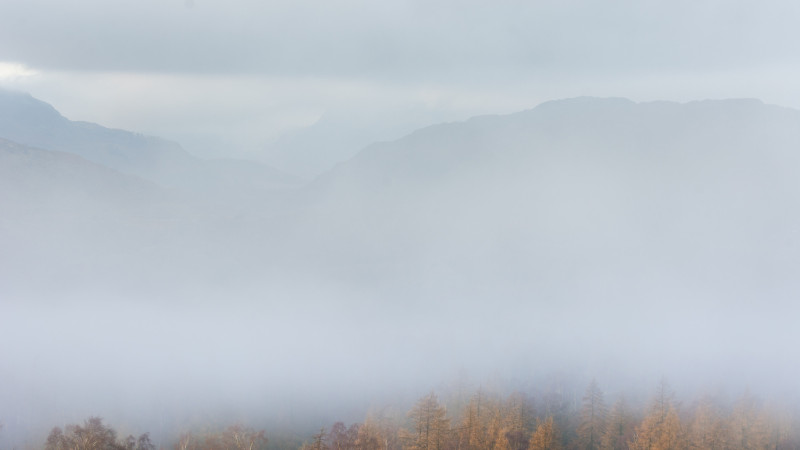 Фото:depositphotos.com