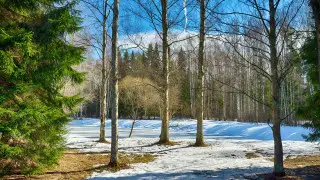 Температурные качели: погода в Казахстане на 13 марта