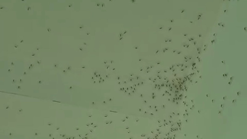 Кадры из видео