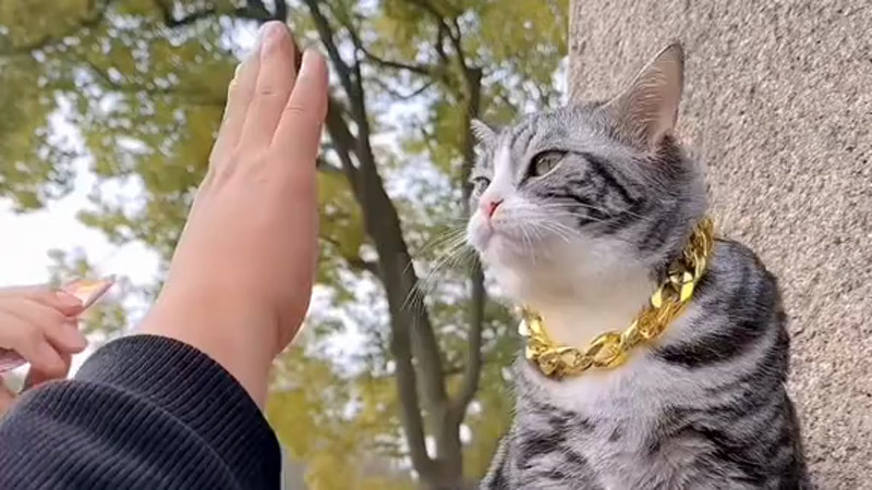 Кадры из видео