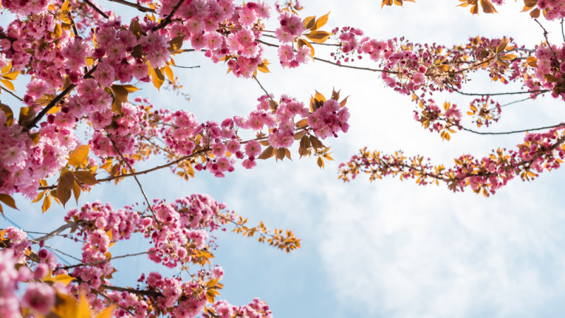 Фото:depositphotos.com