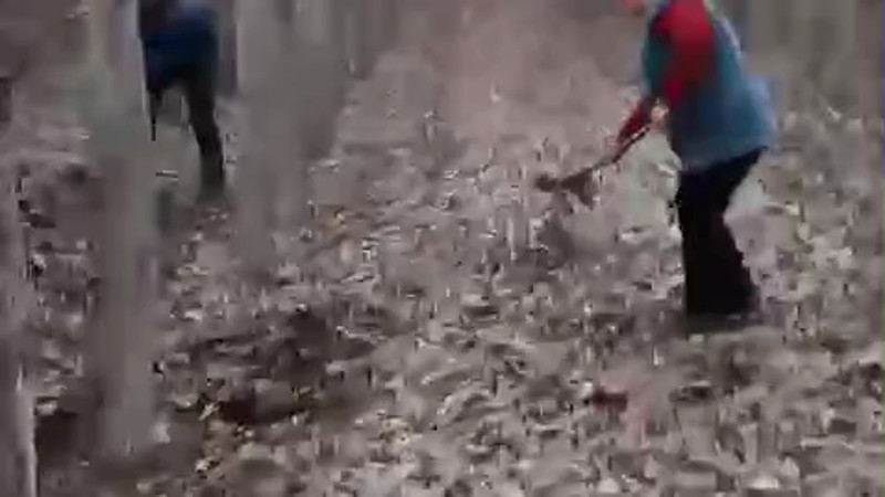 Кадры из видео