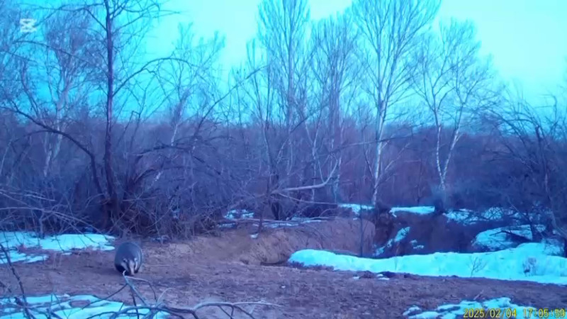 Кадры из видео