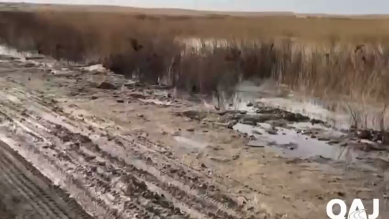 Кадры из видео