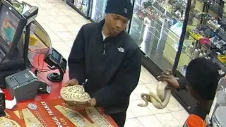 В США грабители использовали змей вместо оружия