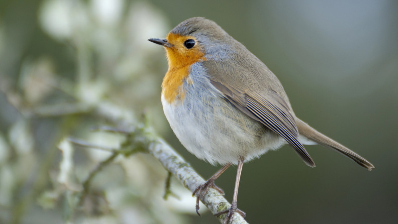 Фото:depositphotos.com