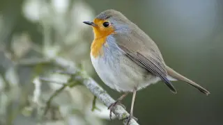 Жара до 30 градусов придет в Казахстан