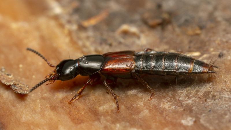 Фото:depositphotos.com