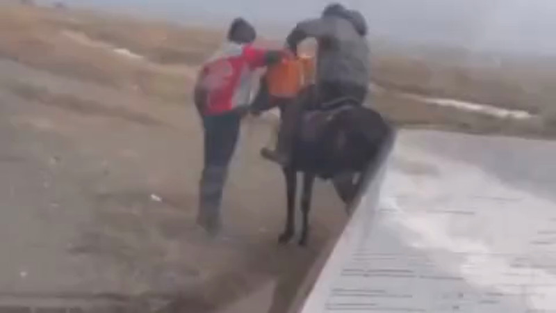 Кадры из видео