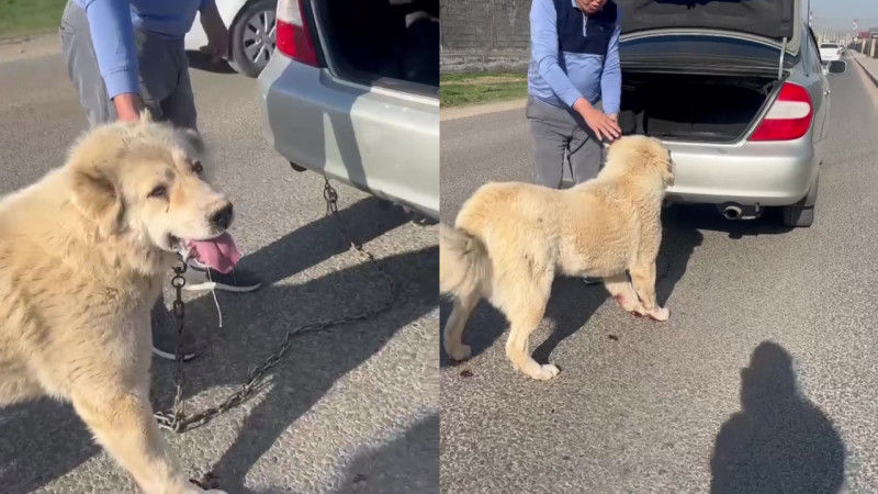 Кадры из видео