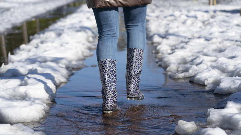 Фото:depositphotos.com