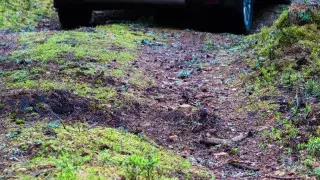 В Алматинской области семья выехала за грибами и пропала